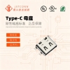 TYPE-C-QTWT-NP
